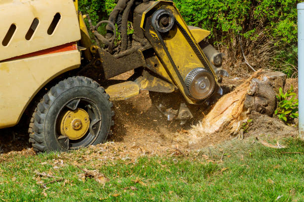 Best Aeration Services  in Wyoming, IL