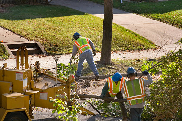 Wyoming, IL Tree Care Services Company